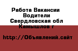 Работа Вакансии - Водители. Свердловская обл.,Камышлов г.